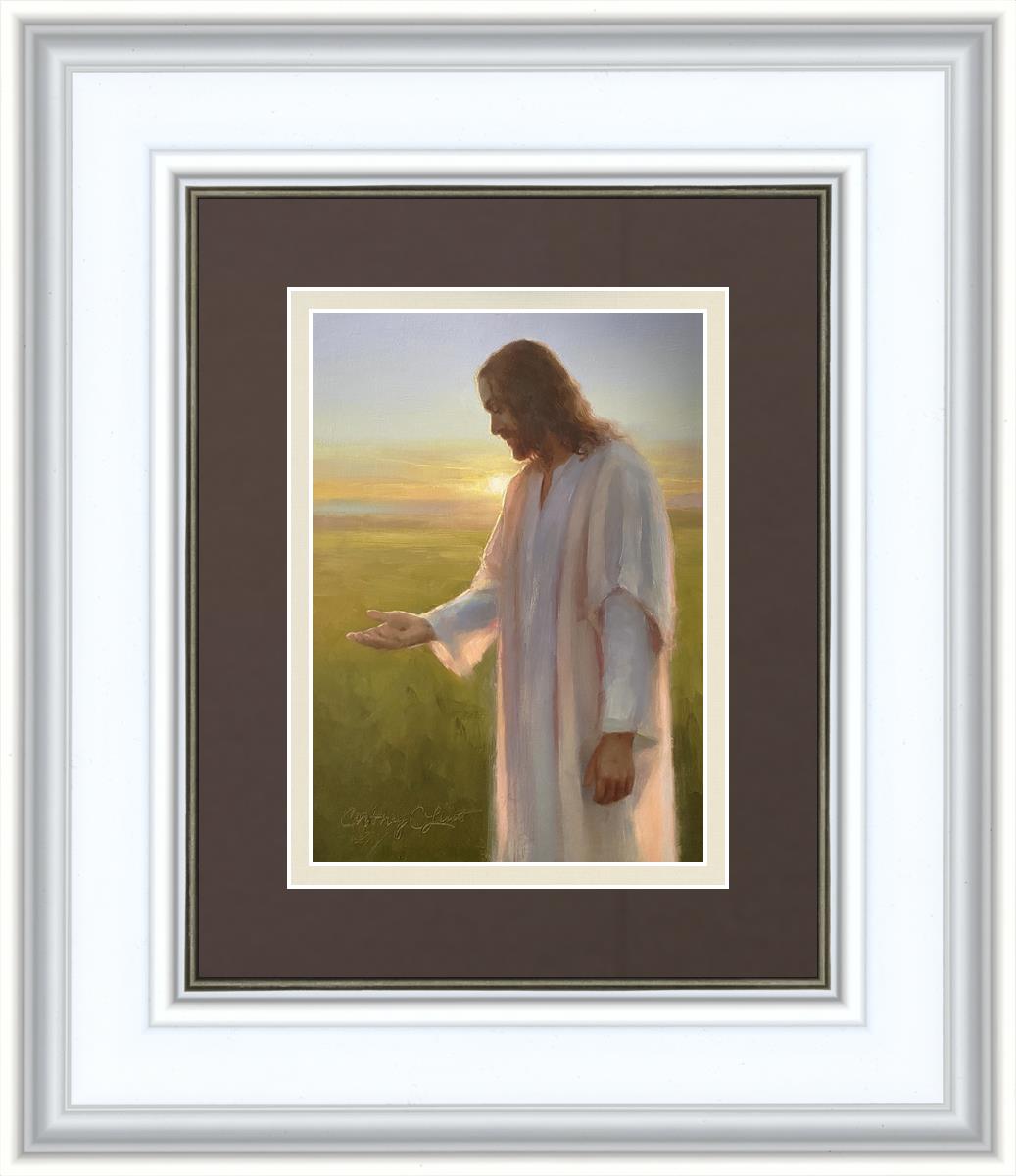 Light of The Son