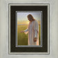 Light of The Son