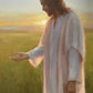 Light of The Son