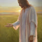Light of The Son