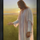 Light of The Son