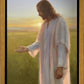 Light of The Son
