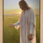 Light of The Son