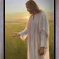 Light of The Son