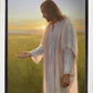 Light of The Son