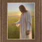 Light of The Son