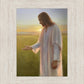 Light of The Son