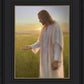 Light of The Son