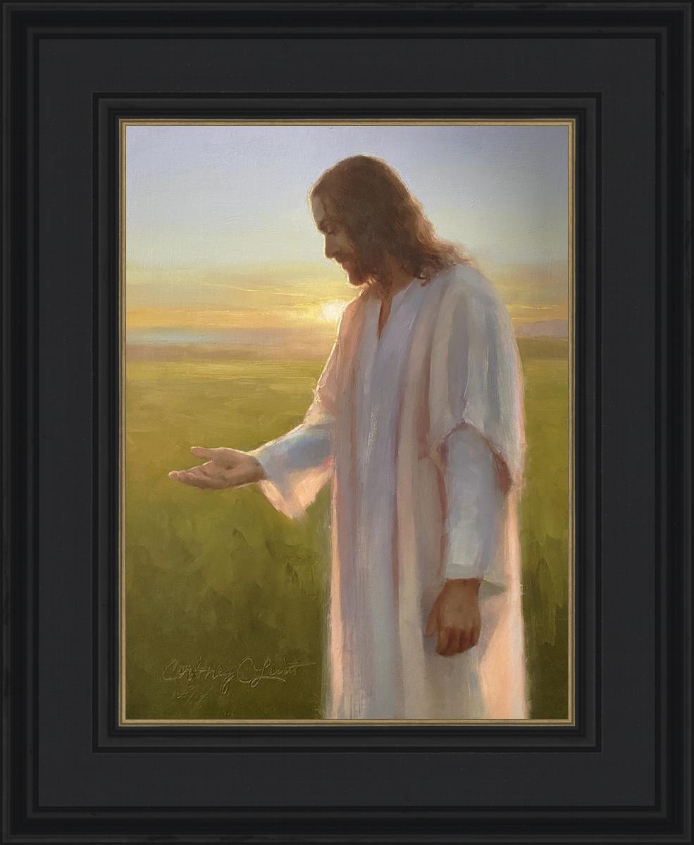 Light of The Son