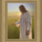 Light of The Son