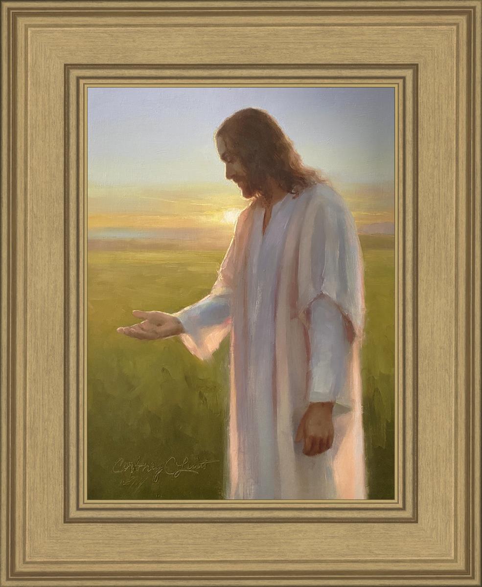 Light of The Son