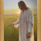 Light of The Son