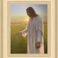 Light of The Son