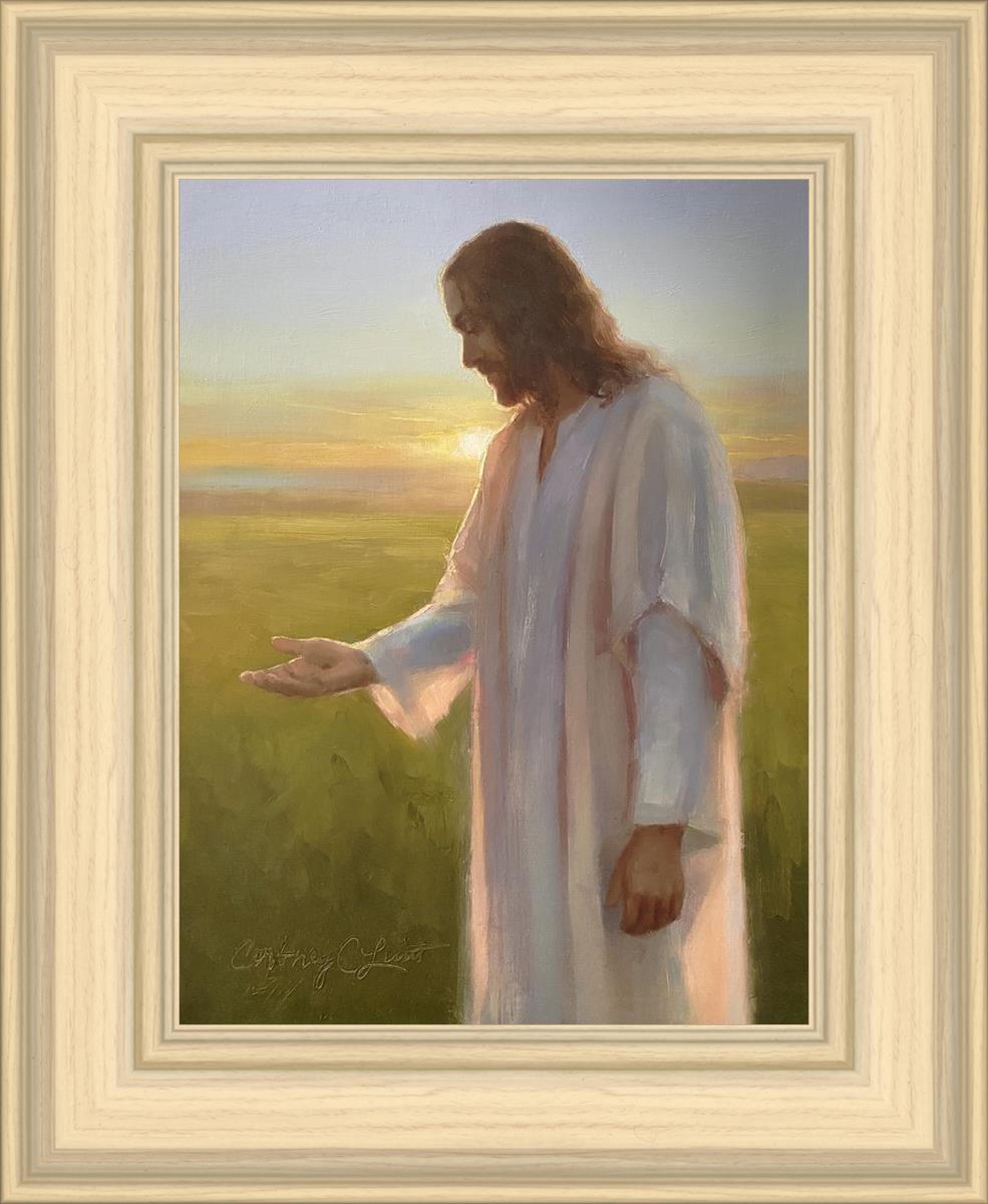 Light of The Son