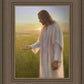 Light of The Son