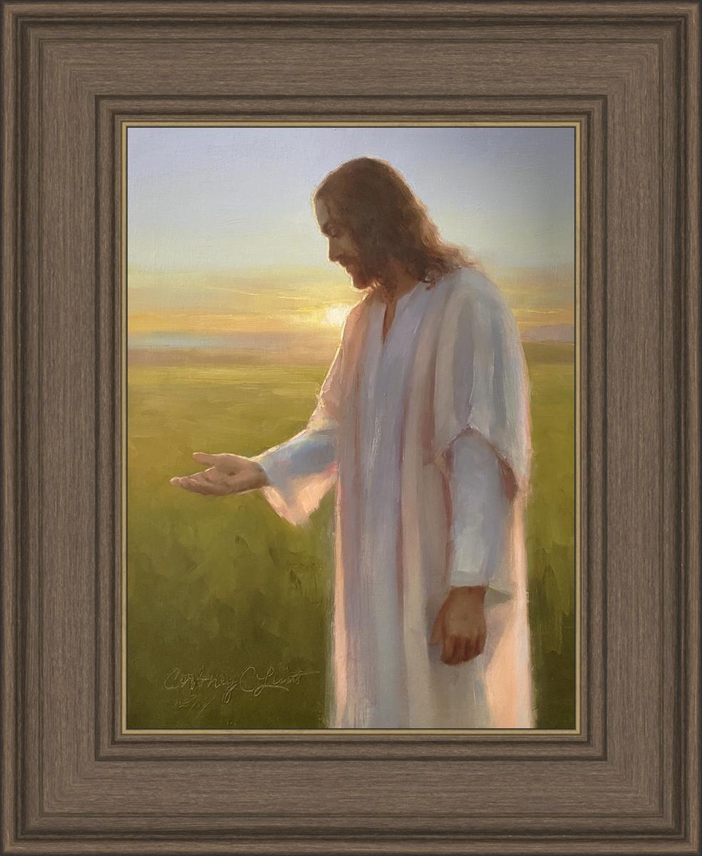 Light of The Son