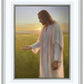 Light of The Son