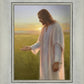 Light of The Son