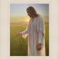 Light of The Son