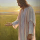 Light of The Son