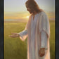 Light of The Son