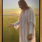 Light of The Son