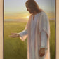 Light of The Son
