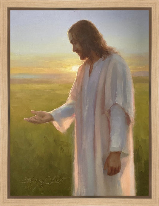 Light of The Son