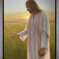 Light of The Son