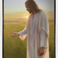 Light of The Son