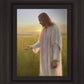 Light of The Son
