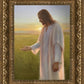 Light of The Son