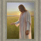 Light of The Son