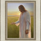 Light of The Son
