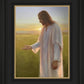 Light of The Son