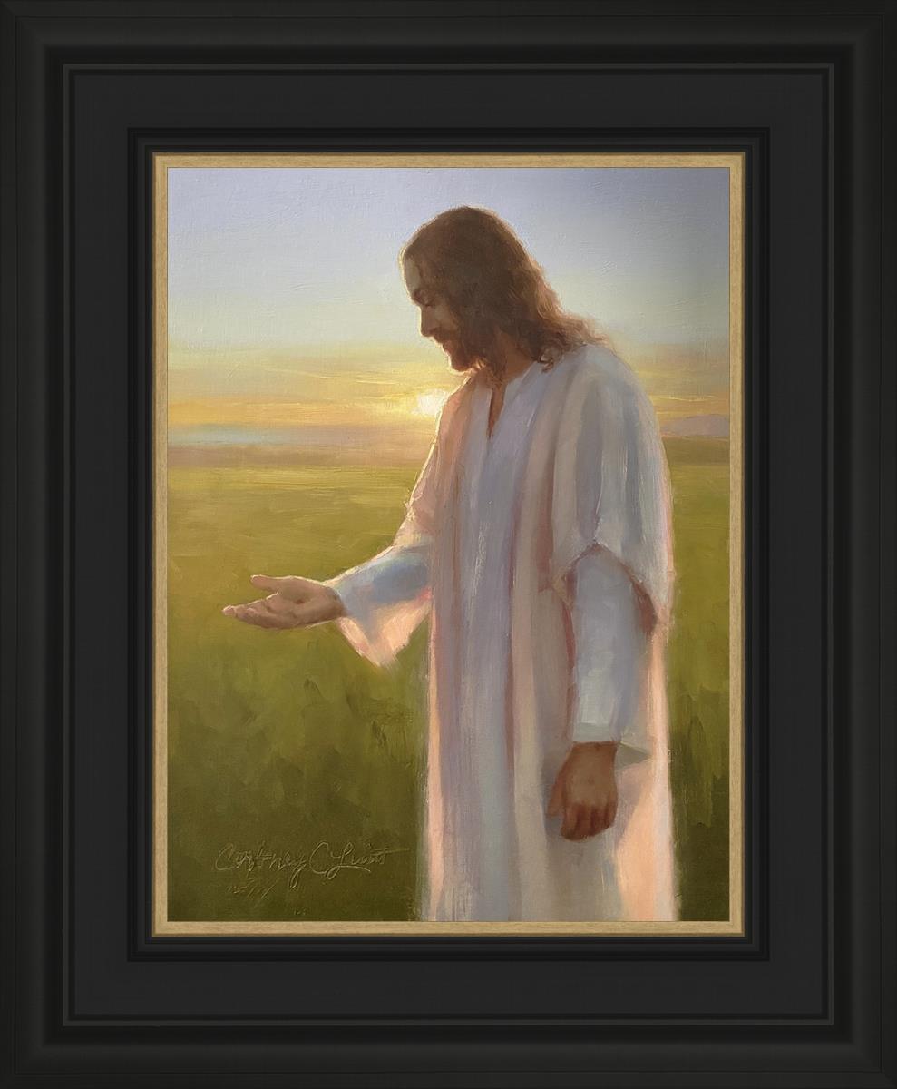 Light of The Son