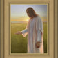 Light of The Son