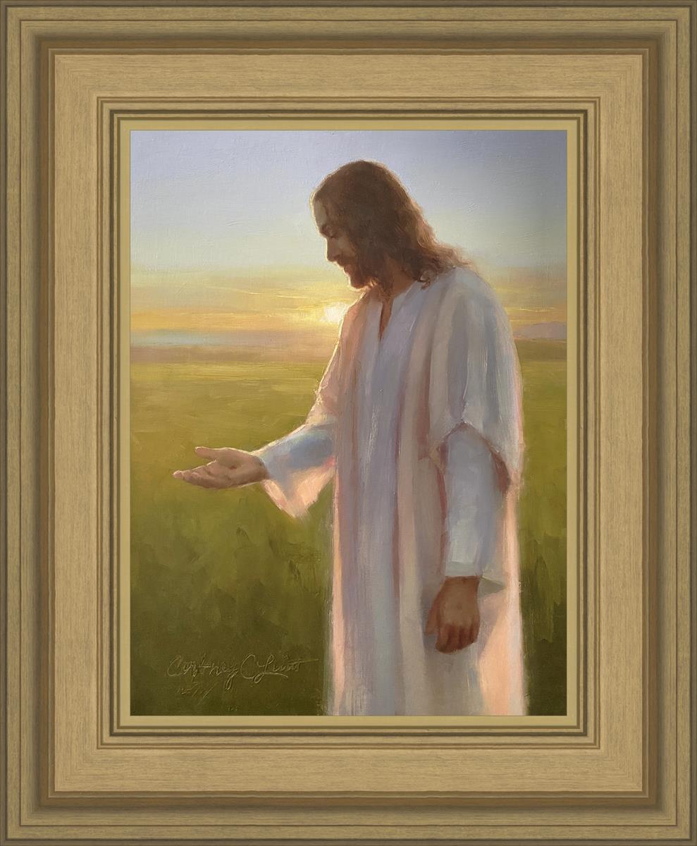 Light of The Son