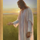 Light of The Son