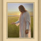 Light of The Son