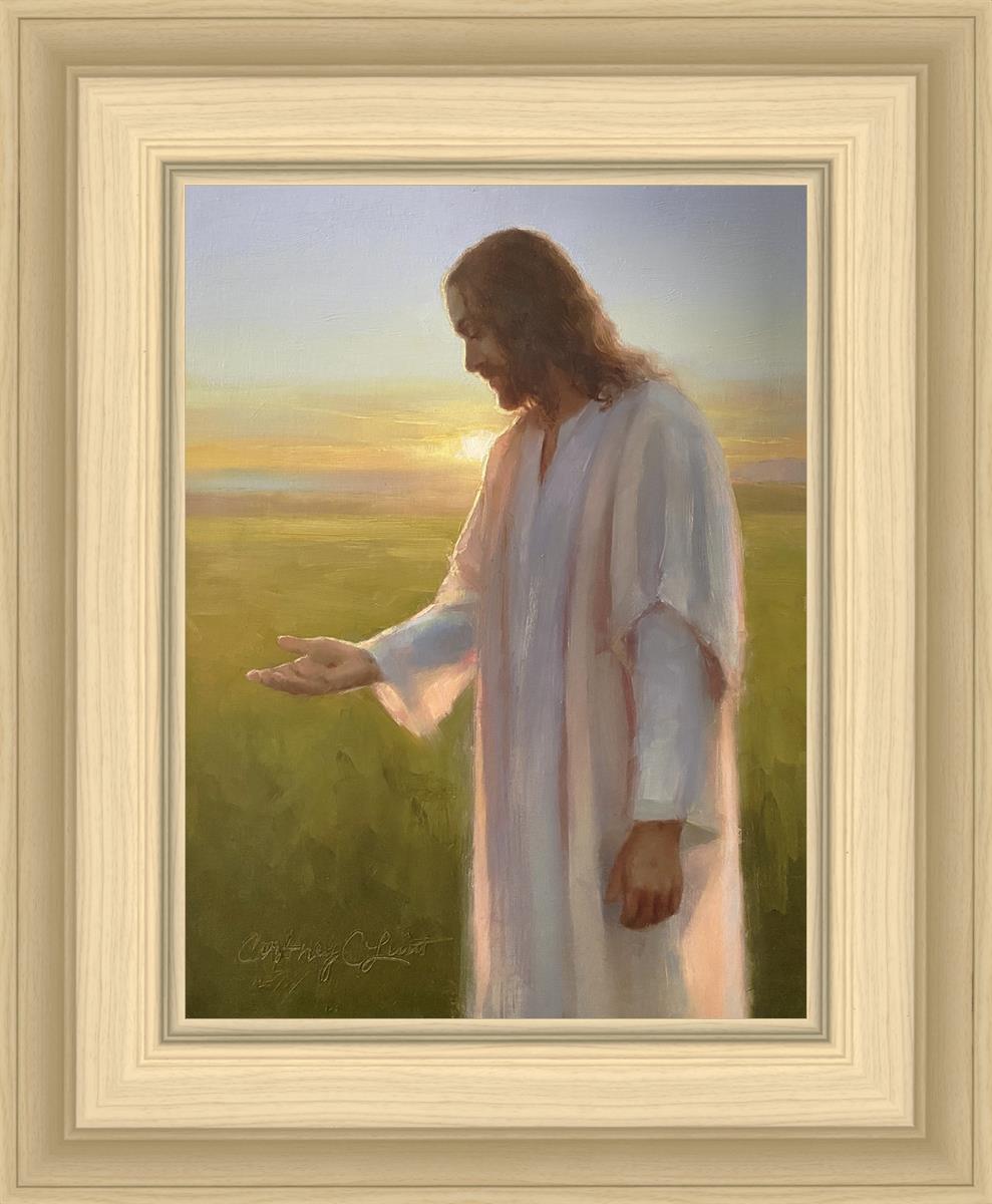 Light of The Son