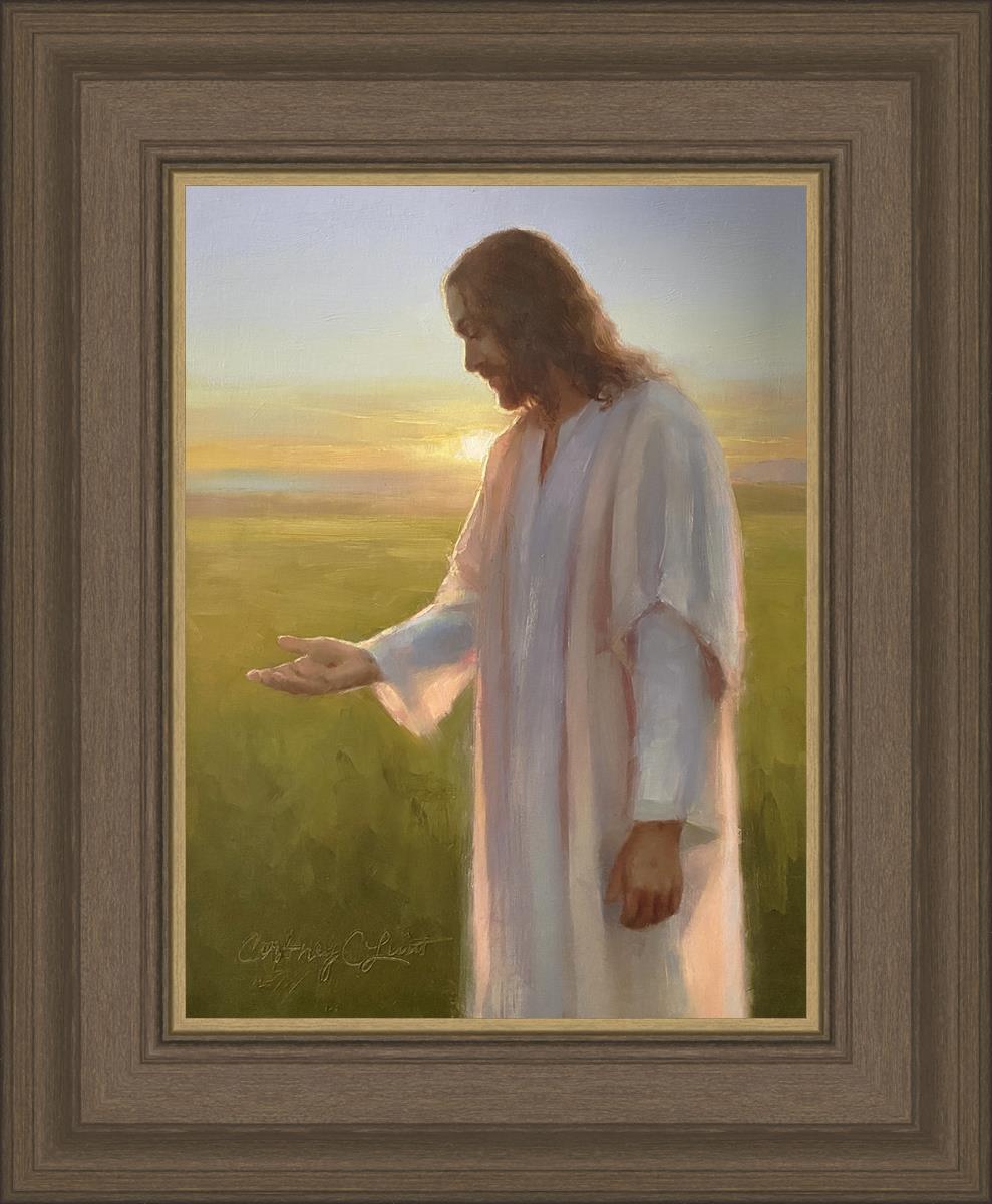 Light of The Son