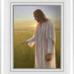 Light of The Son