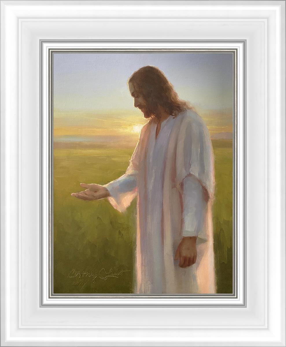 Light of The Son