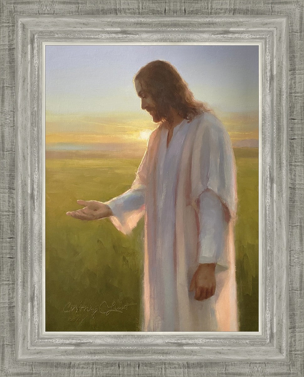 Light of The Son