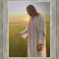 Light of The Son
