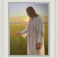 Light of The Son