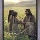 Sacred Gift