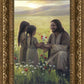 Sacred Gift