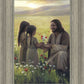 Sacred Gift